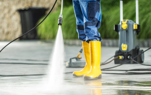 Best Residential Pressure Washing Services  in Panaca, NV