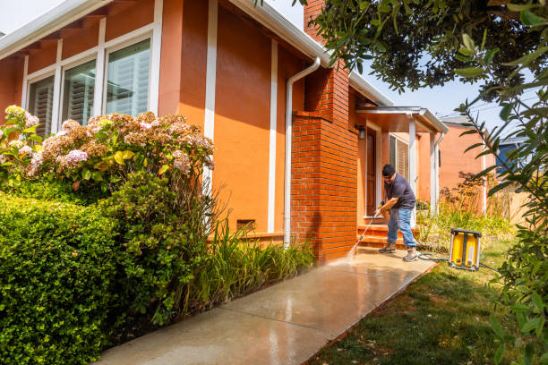 Best Residential Pressure Washing Services  in Panaca, NV