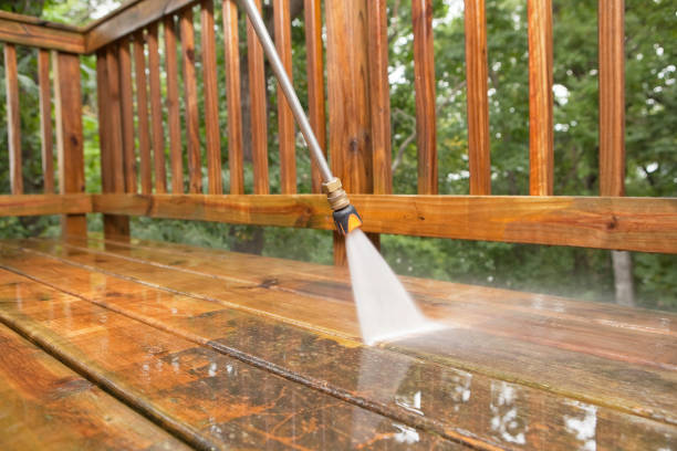 Best Roof Pressure Washing  in Panaca, NV