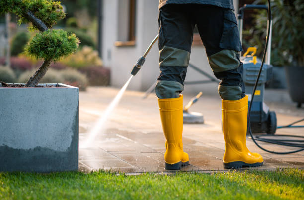 Best Concrete Pressure Washing  in Panaca, NV
